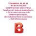 Vitamine B Complex Colours Of Life&reg; Optima Naturals 60 Compresse