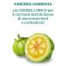 Garcinia Cambogia Plus Colours Of Life Optima Naturals 60 Compresse