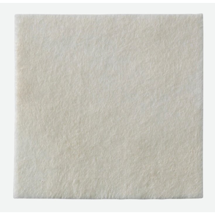 Biatain&reg; Alginate Ag 10x10cm Coloplast&reg; 10 Pezzi 3760