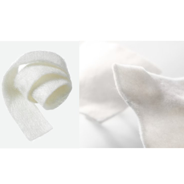 Biatain Alginate 3715 15x15cm Coloplast 10 Pezzi