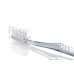 Spazzolino Surgical Vitis&reg; 1 Pezzo