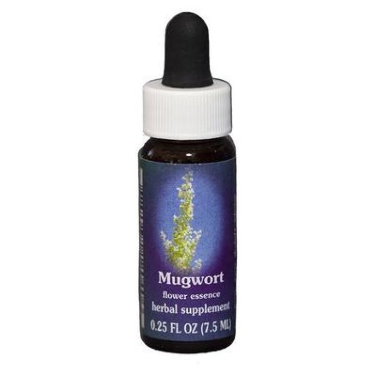 Mugwort Essenza Singola&nbsp;Californiana&nbsp;Flower Essence Society 7,4ml
