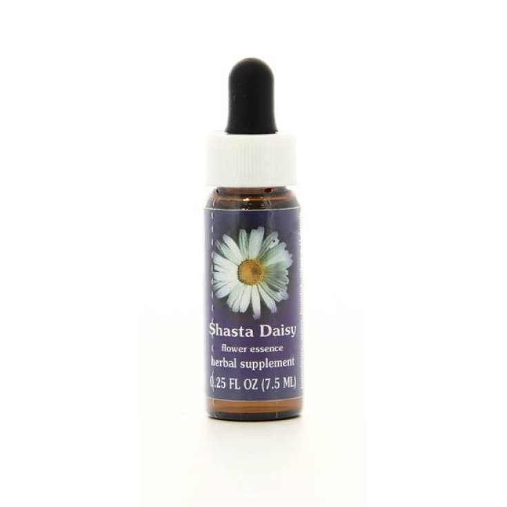 Shasta Daisy Essenza Singola Californiana Flower Essence Society 7,4ml