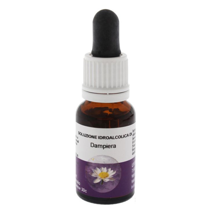 Dampiera Essenza Singola Australian Living Essences 15ml 