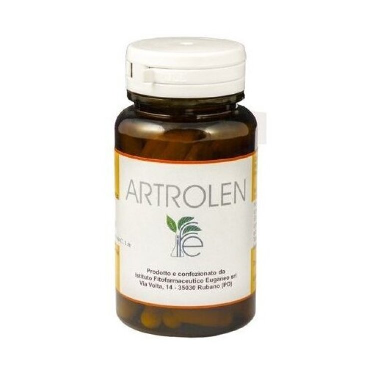 Artrolen 80 Capsule