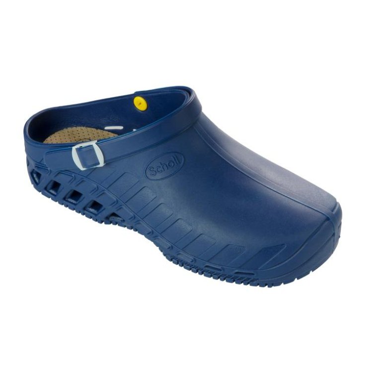 Clog Evo&nbsp;Unisex Scholl Blu 39-40