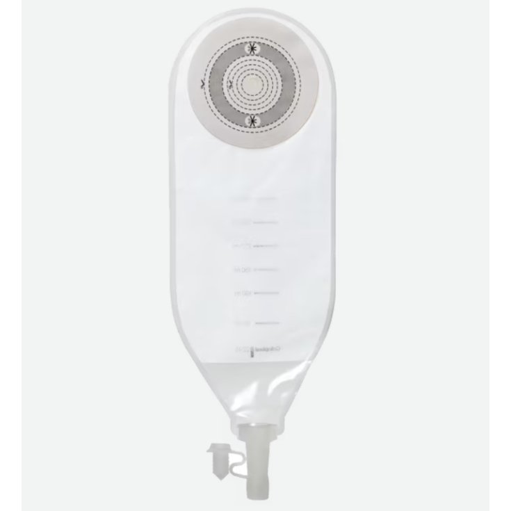 Alterna&nbsp;Drenaggio Monopezzo 022400 Coloplast 20 Pezzi