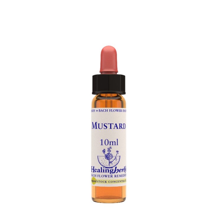 Mustard&nbsp;Bach Flower Remedies Healing Herbs 10ml