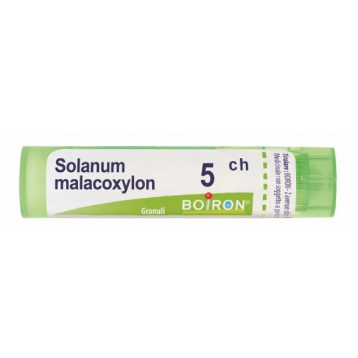 Solanum Malacoxylon 5CH Boiron 80 Granuli
