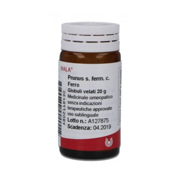 Prunus S. Ferm C. Ferro&nbsp;Wala Globuli 20g