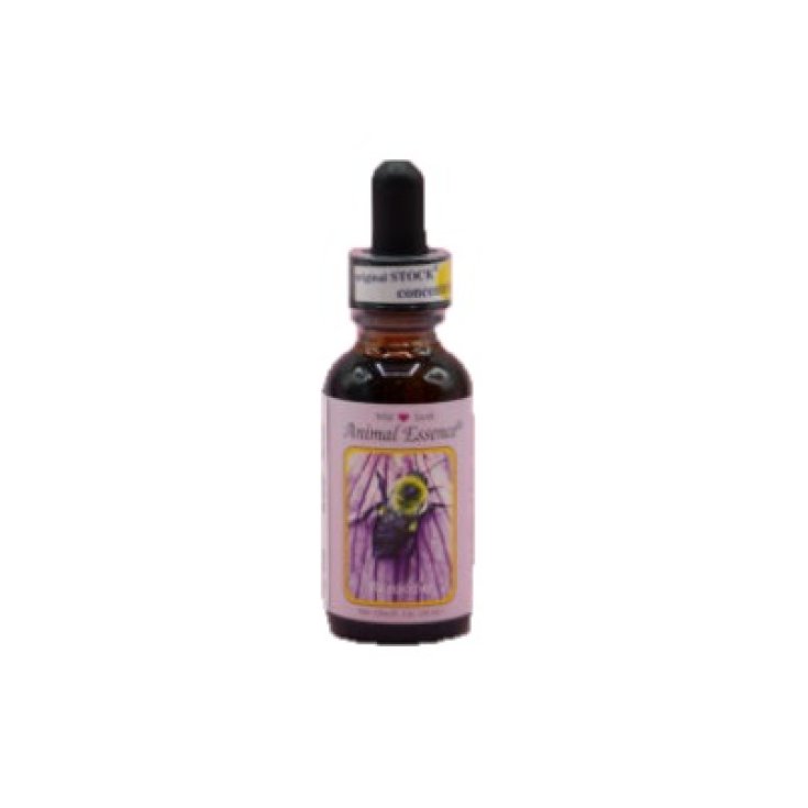 Bombo Wild Earth Animal Essences 30ml