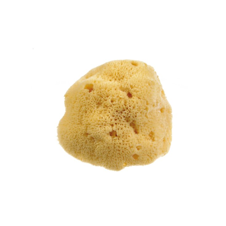 Spugna Naturale Fine Dama Beautytime 1 Pezzo