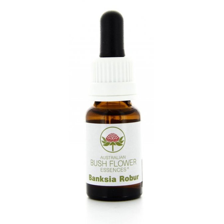 Banksia Robur Essenza Singola Australian Bush Flower Essences 15ml