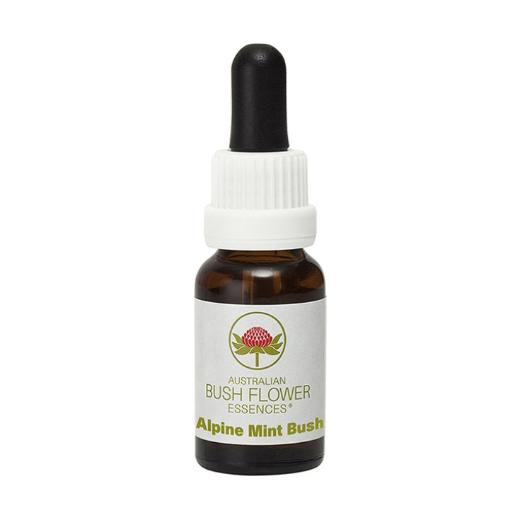 Alpine Mint Bush Australian Bush Flower Essences 15ml