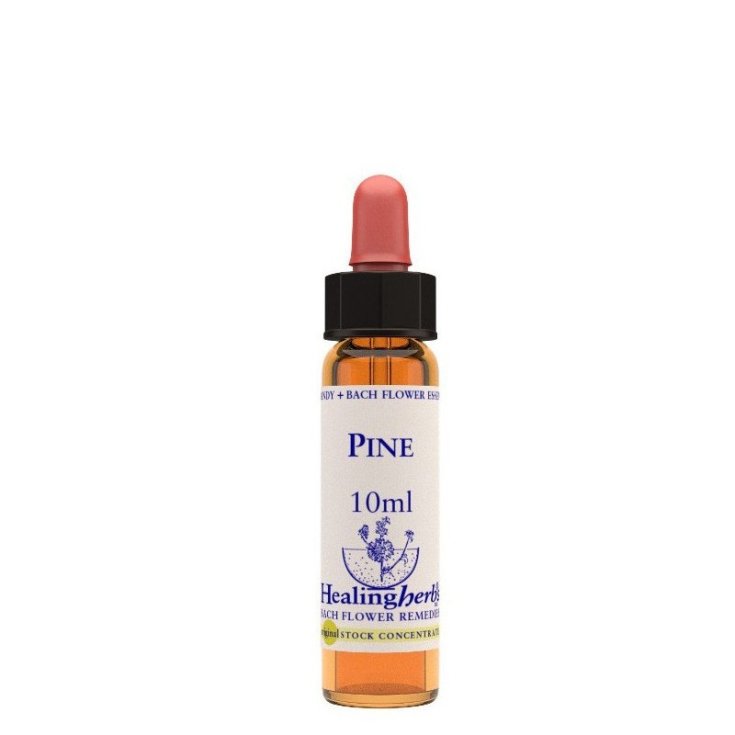 Pine Bach Flower Remedies Healing Herbs 10ml