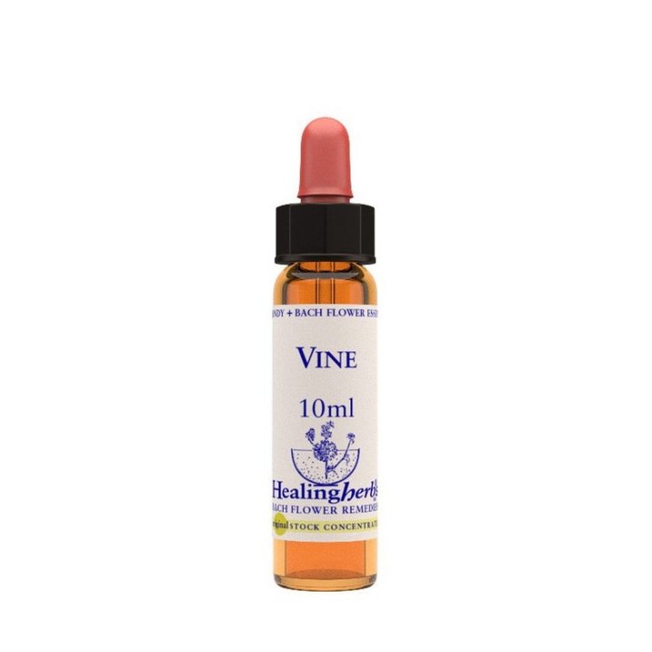 Vine Bach Flower Remedies Healing Herbs 10ml