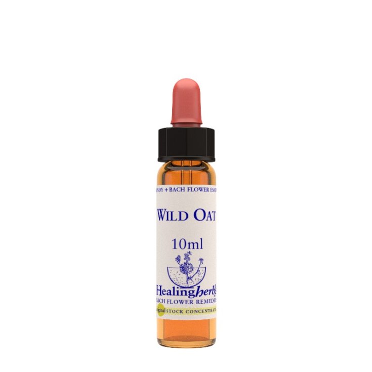 Wild Oat Bach Flower Remedy Healing Herbs 10ml