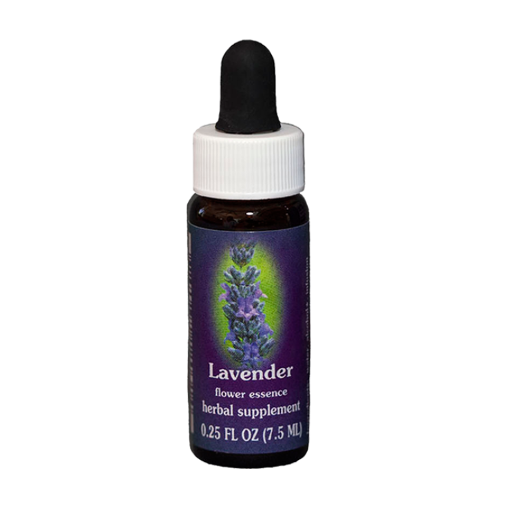 Lavender&nbsp;Essenza Singola Californiana&nbsp;Flower Essence Society 7,4ml