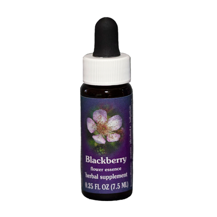 Blackberry Essenza Singola&nbsp;Californiana&nbsp;Flower Essence Society 7,4ml