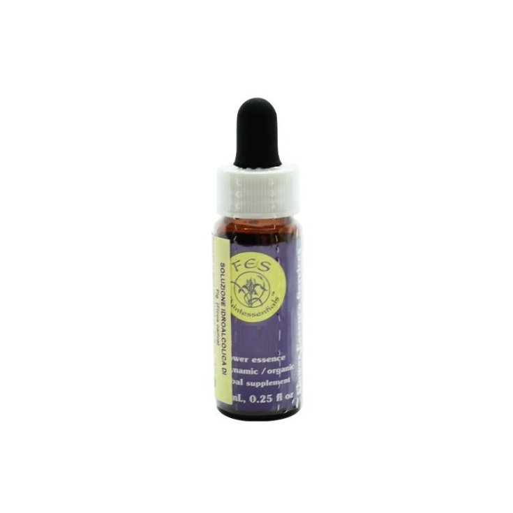 Red Essenza Singola Californiana Flower Essence Society 7,4ml