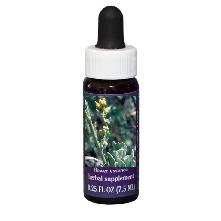 Sagebrush Essenza Singola Californiana&nbsp;Flower Essence Society 7,4ml