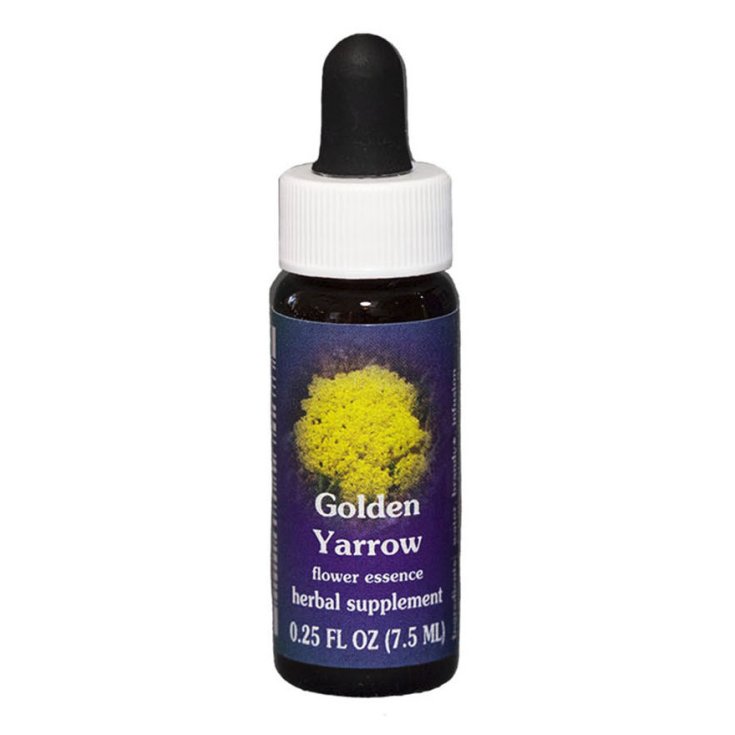 Golden Yarrow Essenza Singola Californiana Flower Essence Society 7,4ml