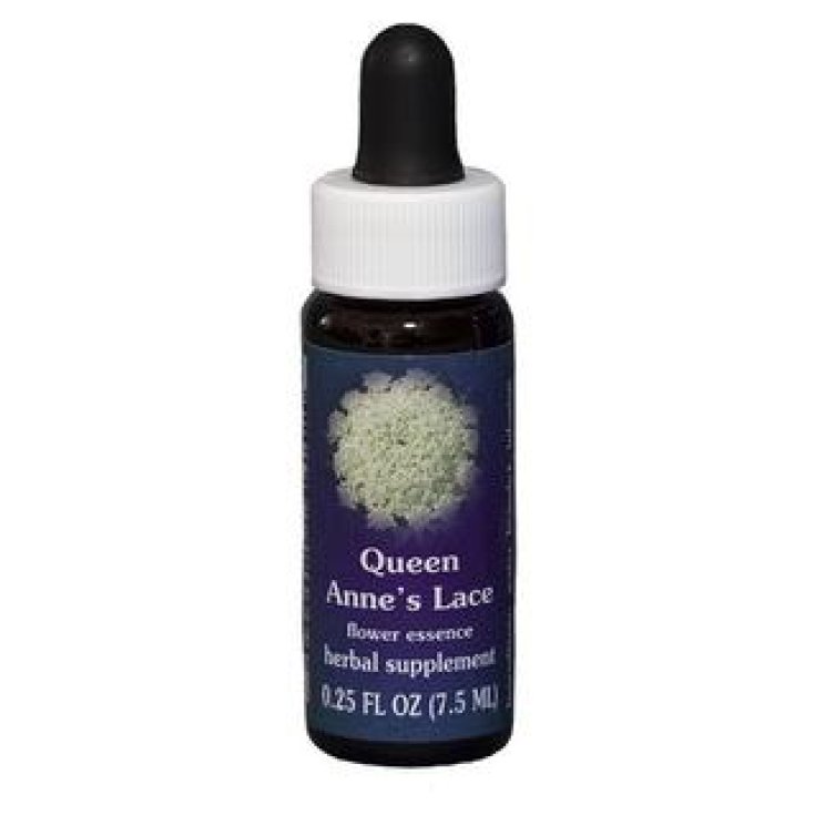 Queen Anne's LaceEssenza Singola Californiana Flower Essence Society 7,4ml