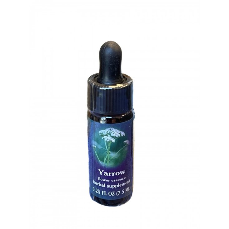 Yarrow Essenza Singola Californiana&nbsp;Flower Essence Society 7,4ml