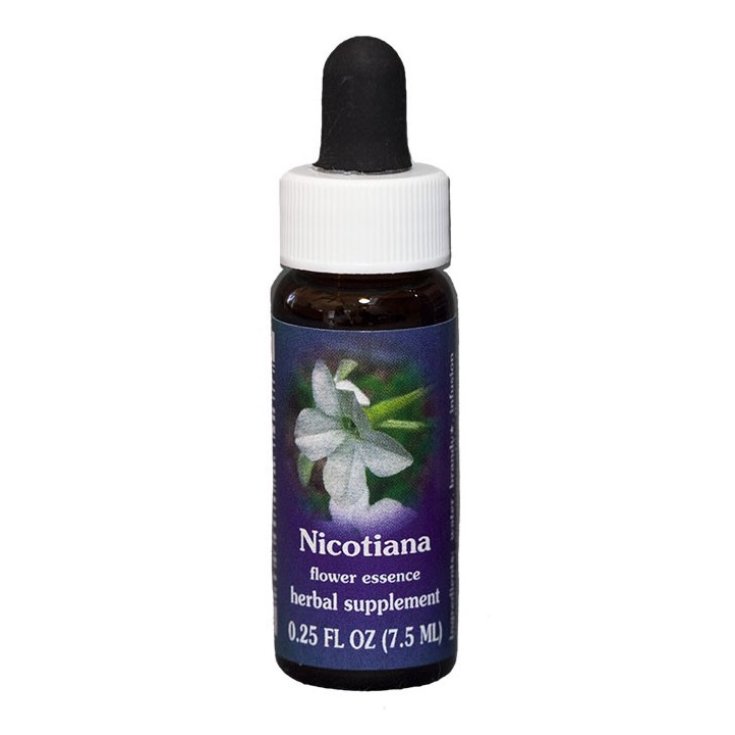 Nicotiana&nbsp;Essenza Singola Californiana&nbsp;Flower Essence Society 7,4ml