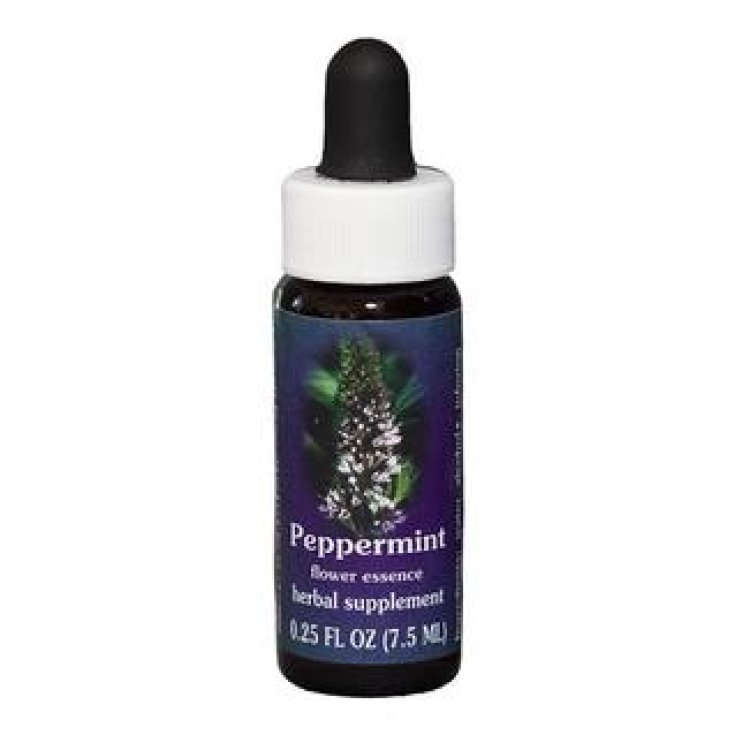 Peppermint Essenza Singola Californiana Flower Essence Society 7,4ml