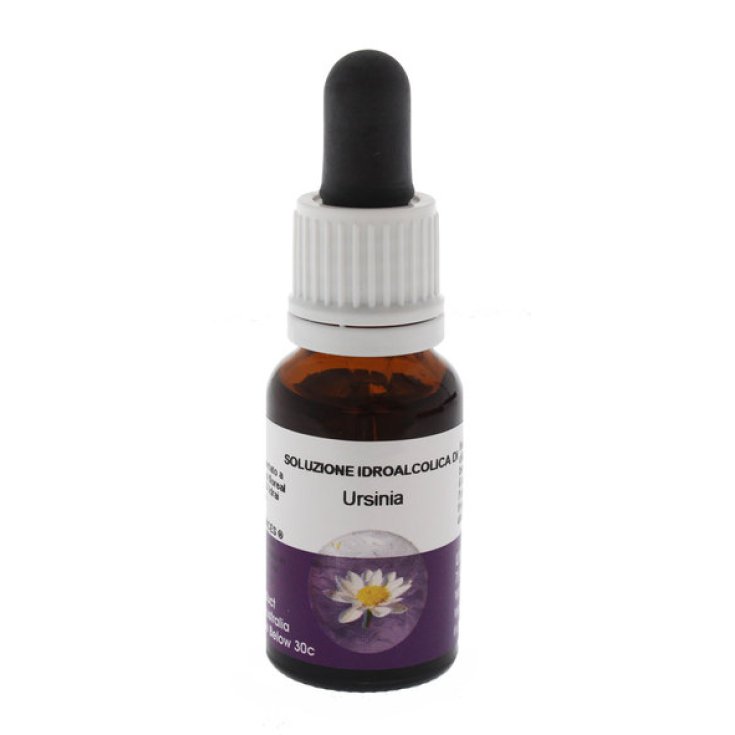Ursinia Essenza Singola Australian&nbsp;Living Essences 15ml