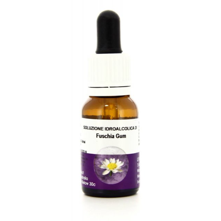 Fuchsia Gum&nbsp;Essenza Singola Australian&nbsp;Living Essences 15ml