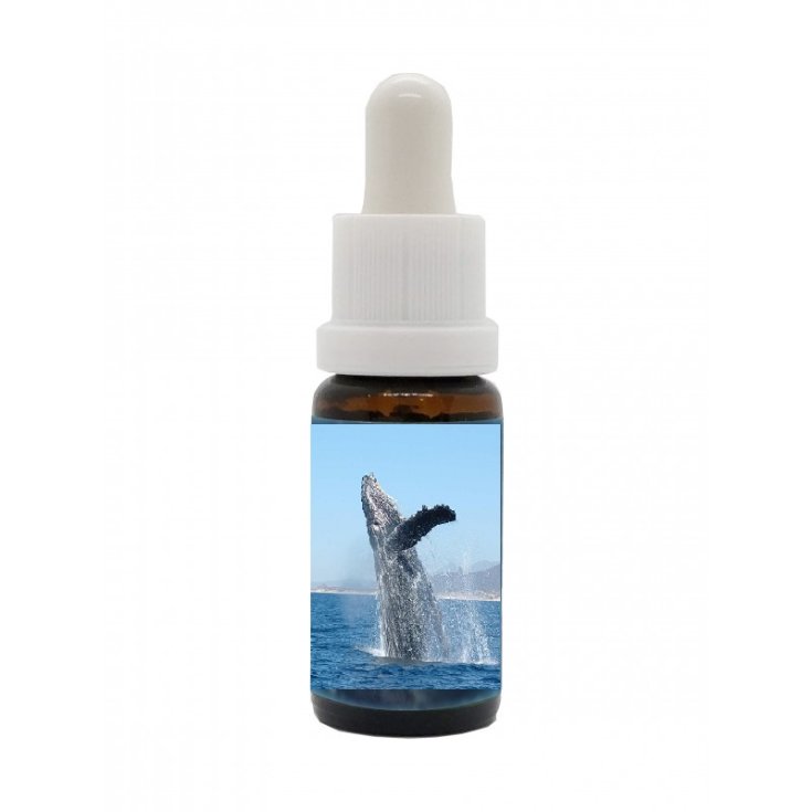 Balena&nbsp;Essenze del Mare Korte&nbsp;PHI Essences 15ml
