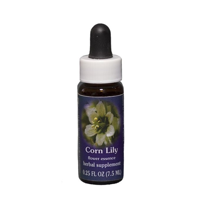 Corn Lily Essenza Singola Californiana Flower Essence Society 7,4ml