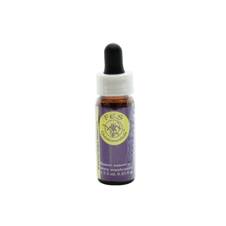 Shasta Lily&nbsp;Essenza Singola Californiana&nbsp;Flower Essence Society 7,4ml