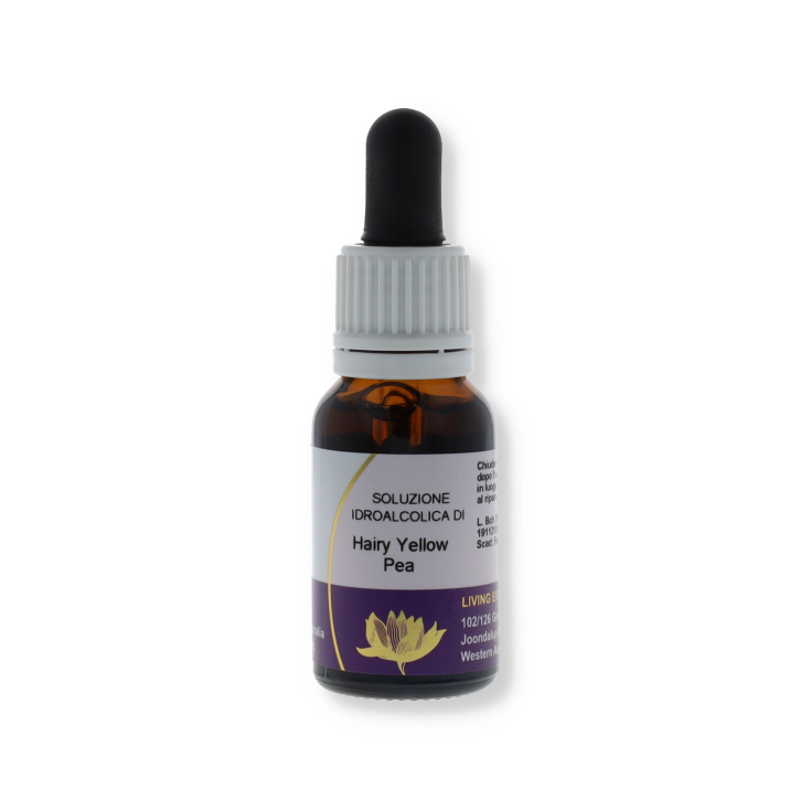 Hairy Yellow Pea Essenza Singola Austrlian Living Essences 15ml