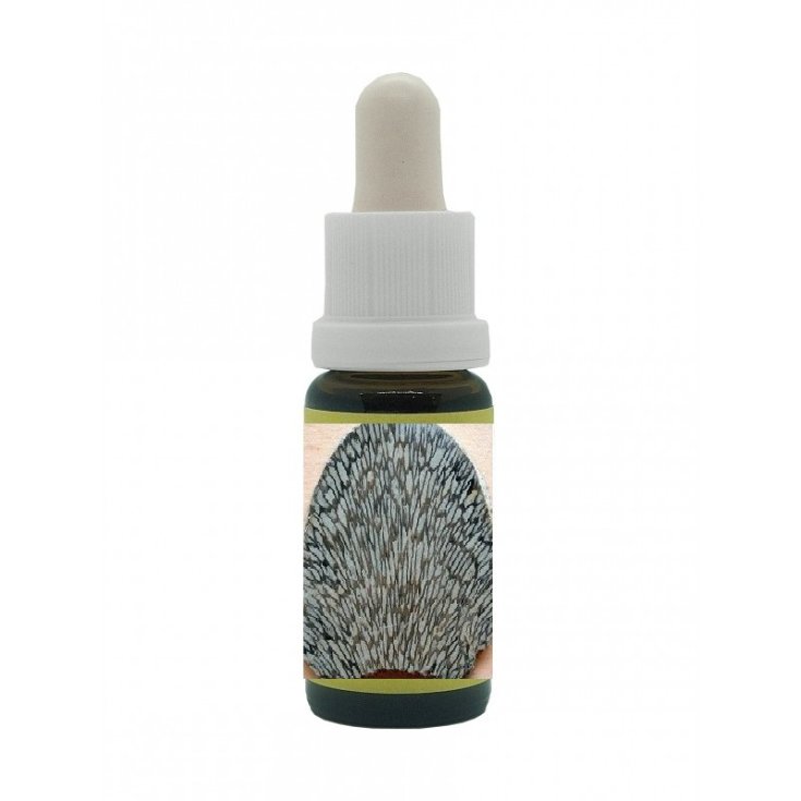 Coral Essenza di Cristalli Korta Natur 15ml