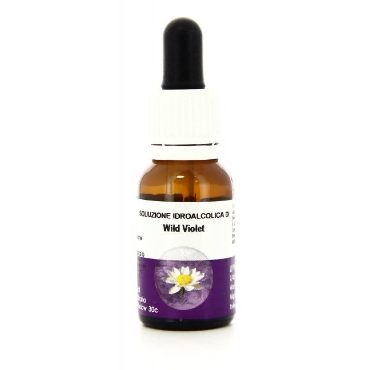 Wild Violet Essenza Singola Australin&nbsp;Living Essences 15ml