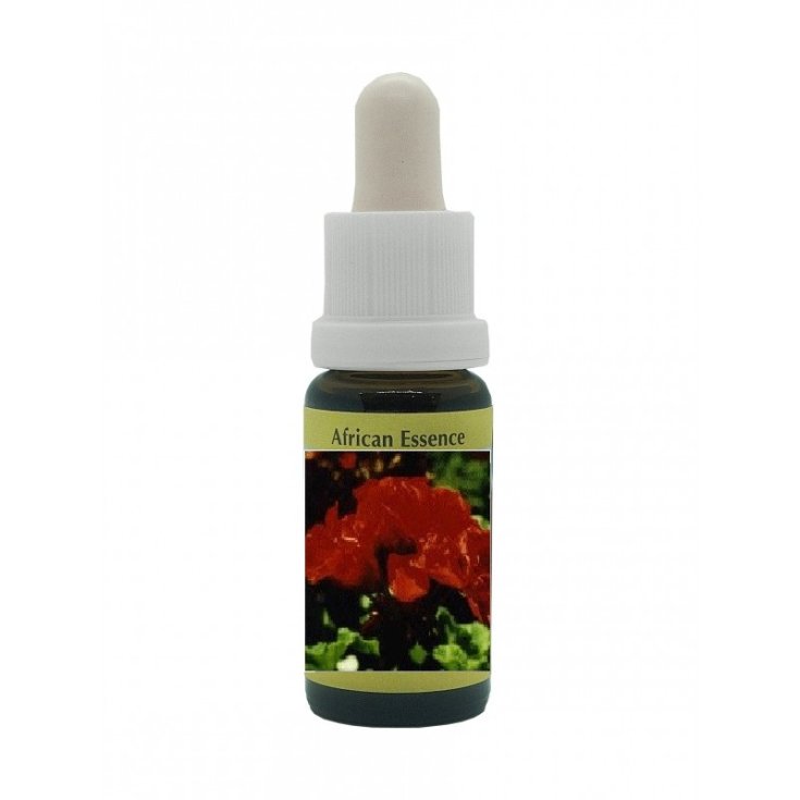 Geranium&nbsp;Essenze Africane Korte PHI Essences 15ml