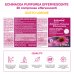 Echinacea Purpurea Effervescente Optima Naturals 20 Compresse