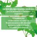 Ginkgo Biloba Plus Colours Of Life&reg; Optima Naturals 60 Compresse