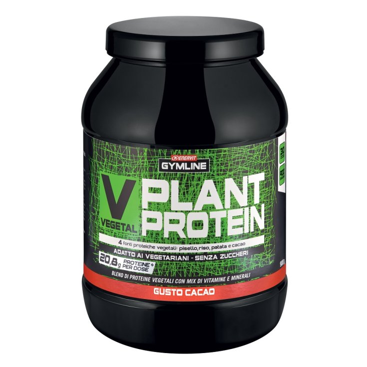 Gymline Vegetal Plant Protein Cacao Enervit 800g