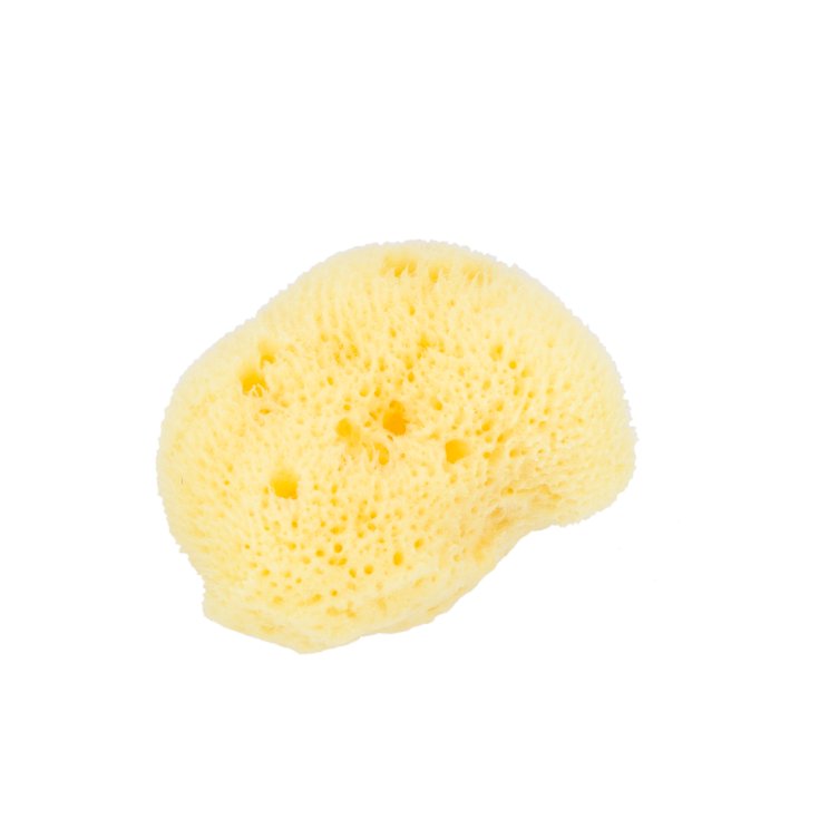Spugna Di Mare Struccante Beautytime 1 Pezzo