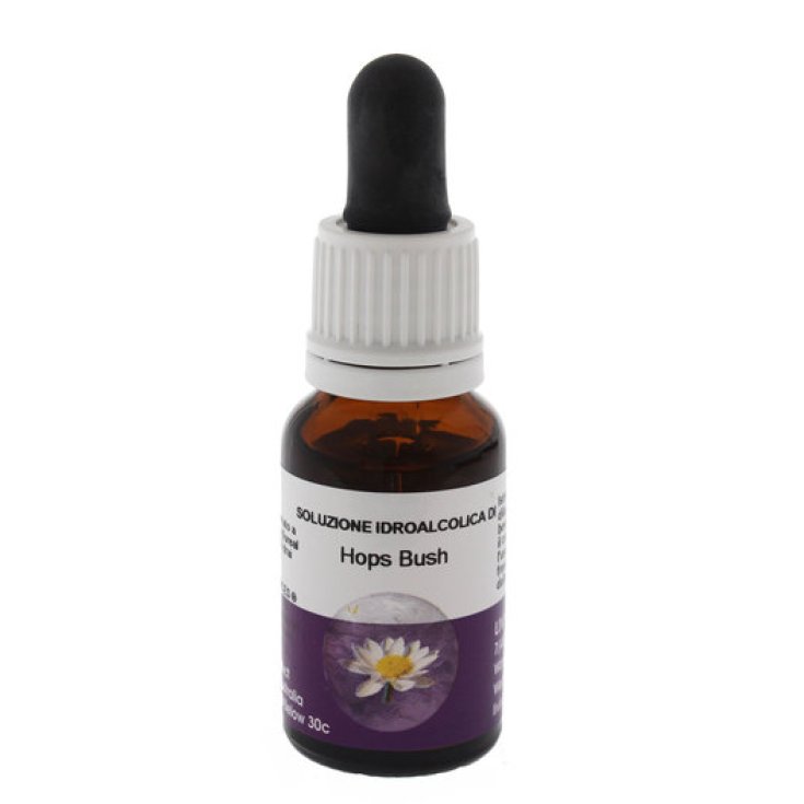 Hops Bush Essenza Singola Australiana Living Essences 15ml