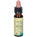 Fiori Di Bach Elm Estratto Floreale 11 Laboratorio Erboristico Di Leo 10ml