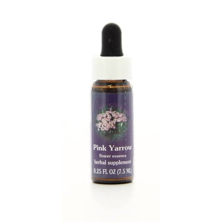 Pink Yarrow Essenza Singola Californiana Flower Essence Society 7,4ml