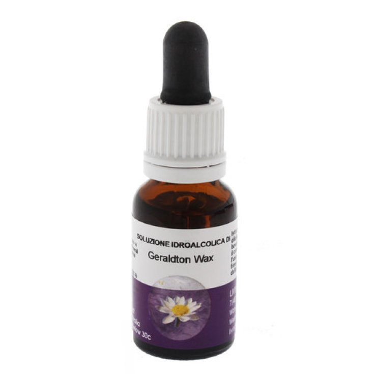 Geraldton Wax&nbsp;Essenza Singola Australiana&nbsp;Living Essences 15ml