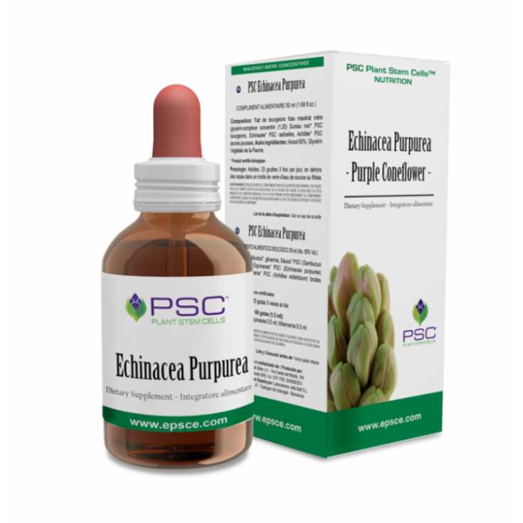 Echinacea Purpurea PSC 15ml