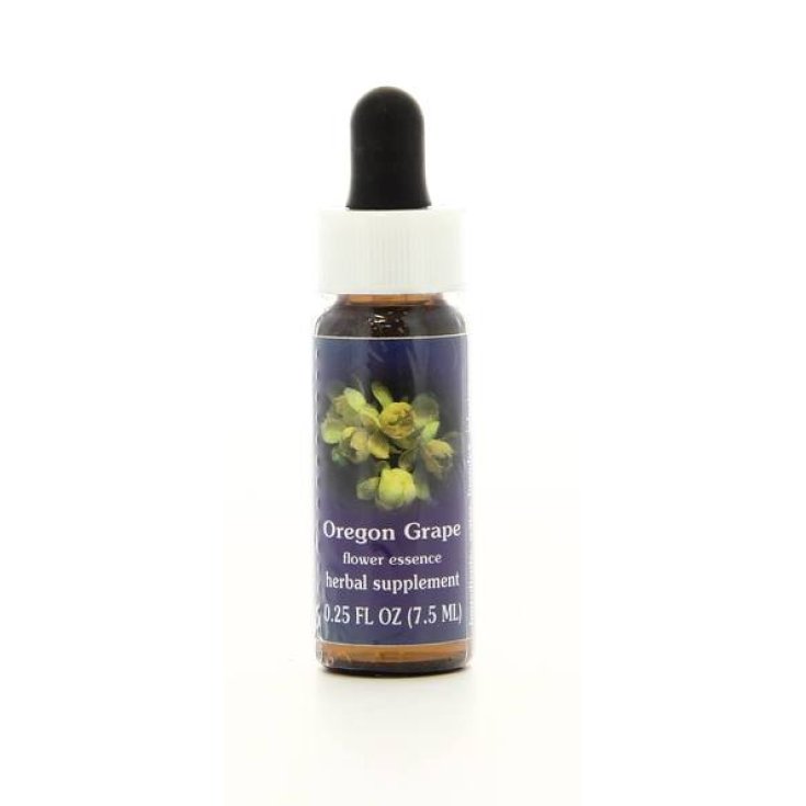 Oregon Grape Essenza Singola Californiana Flower Essence Society 7,4ml