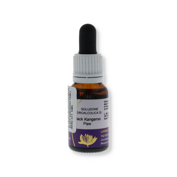 Black Kangaroo Paw Essenza Singola Australiana Natur 15ml